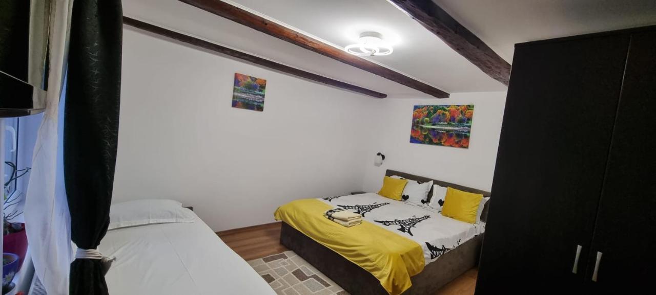 Casa De Oaspeti Laura Rîşnov المظهر الخارجي الصورة